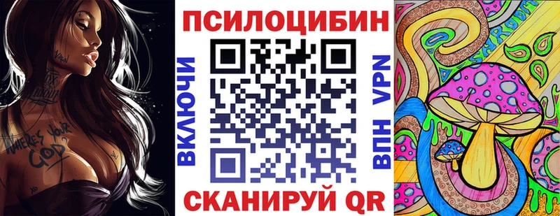 darknet официальный сайт купить закладку Салаир Галлюциногенные грибы MAGIC MUSHROOMS